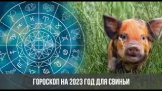 ГОРОСКОП ДЛЯ РОЖДЁННЫХ В ГОД КАБАНА (СВИНЬИ) на 2023 год!