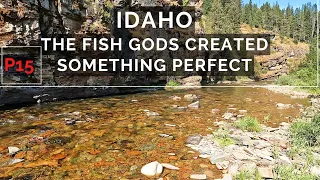 IDAHO is UNBELIEVABLE - Big & Beautiful Trout surrounded by Incredible Landscapes!  p15