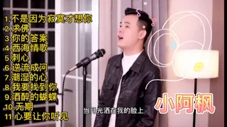 抖音小阿枫歌曲第七辑