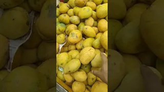 Bainganpally Indian mangoes Kg 60 rupees. tasty aam #Shorts