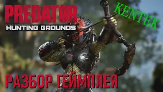 Predator: Hunting Grounds - РАЗБОР ТРЕЙЛЕРА И ГЕЙМПЛЕЯ ИГРЫ (KENTEK)