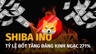 Tỷ lệ đốt Shiba Inu với mức tăng đáng kinh ngạc 271%