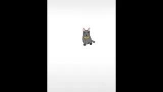 Cat jump (Live 2D)