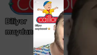 Caillou yu seslendiren kişi