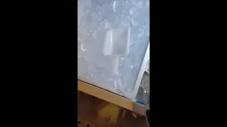 How to make a Frozen Mojito