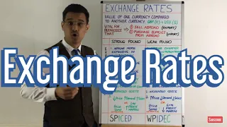 Exchange Rate Impacts