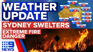 Extreme heat swelters Sydney, Extreme fire danger rating | Weather | 9 News Australia