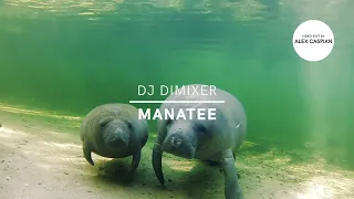 DJ DimixeR - Manatee (Video Edit)