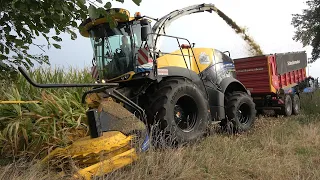 Loonbedrijf Bouwhuis aan het mais hakselen voor Miskotte, helaas wel voor de laatste keer (2022)