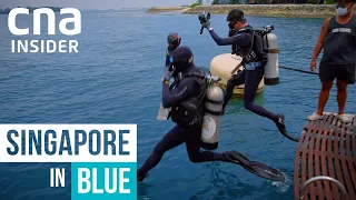 Singapore's Blue Future - In Skies & Seas | Singapore In Red, Green And Blue | Full Episode