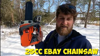 Cheapest eBay Top Handle Chainsaw - First Run & First Fix