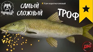 УСАЧ КОРОТКОГОЛОВЫЙ ТРОФЕЙНЫЙ ( ТРОФ ) р. АХТУБА ⭐ РУССКАЯ РЫБАЛКА 4 | RUSSIAN FISHING 4🐟 @Z-B-G