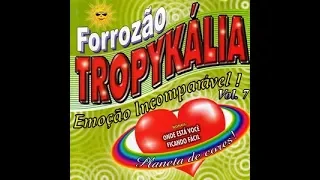 FORROZÃO TROPYKÁLIA - Você fugiu de mim (com letra)