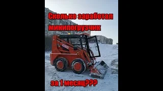 Сколько заработал за месяц минипогрузчик?