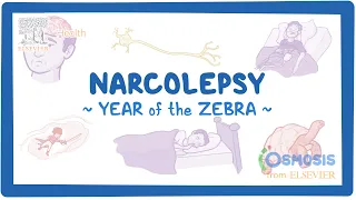 Narcolepsy - NORD (Year of the Zebra)