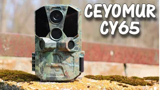 30MP WiFi Trail Camera Ceyomur CY65 Field Test and Review: Sample Photos and Videos included