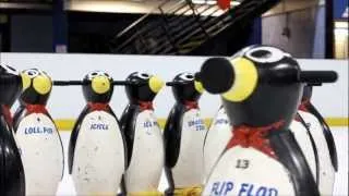 Penguins of Oxford Ice Rink