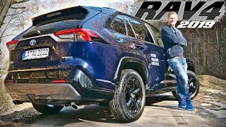 TOYOTA RAV4 2.5 L HYBRID 4X2 2019 in der Style Selection | Review und Fahrbreicht | Fahr doch