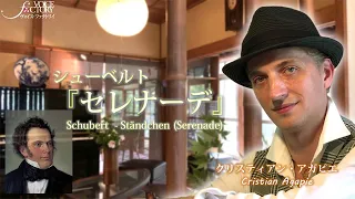 シューベルト「セレナーデ」　Schubert   Ständchen (Serenade)　/　ピアノメッセージ名曲の素敵なフレーズを！