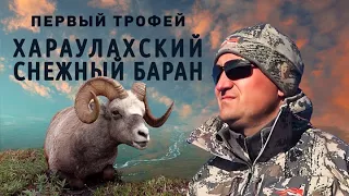 ПЕРВЫЙ ТРОФЕЙ. ХАРАУЛАХСКИЙ СНЕЖНЫЙ БАРАН