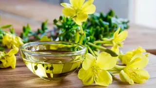 The Incredible Health Benefits Of Primrose Oil