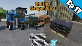 Stafide Si Suc De Struguri | Raisins And Grape Juice | Farming Simulator 23 | Ep.17