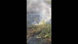 Alligator eats a drone and starts smoking at the mouth in the Everglades