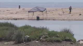 Man found in barrel in Malibu was shot dead