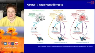 Экспертология | Функциональная гипоталамическая аменорея Пустотина О.А.