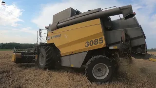 Уборка озимой пшеницы в колхозе!