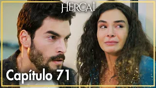 Hercai - Capítulo 71