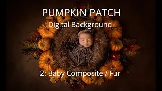 Pumpkin Patch Digital Background tutorial video 2