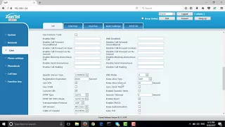Solve DNS look up issue in XonTel IP phones -زونتل