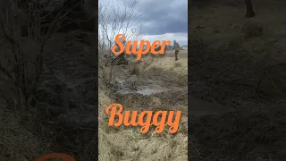 Бандеромобіль/Buggy