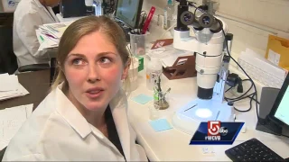How dangerous is that tick? UMass lab offers test results in days