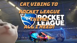 Cat Vibing To Slushii - All I Need [Rocket League Intro Song]