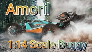 Amoril 1:14 Scale Buggy Unboxing