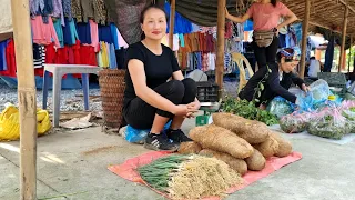 Harvest Palanquins & Wild Tubers and bring them to the market to sell | Gardening | Ly Thi Tam