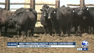 Meat processing facility causing controversy