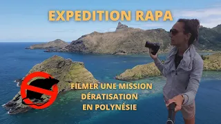 VIDÉASTE D'EXPEDITION - Dératiser Rapa Iti pour protéger la faune de Polynésie  | Partie II