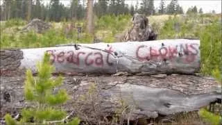 How to Get to the Bearcat Caves.wmv