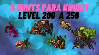 6 Hunts para knight level 200 a 250