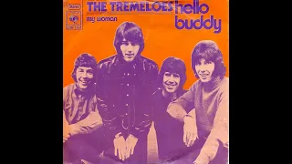 The Tremeloes - Hello Buddy (1971)