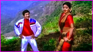 Krishna, Sridevi Evergreen Song - Mavoori Magadu Movie Video Songs | Telugu Movie Songs HD