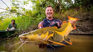Amazon River Food Chain Fishing Challenge! Worms to Giant Fish!