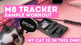 sample workout on the m8 tracker (beat from scratch)