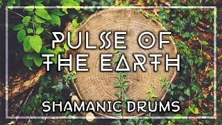 Pulse of the Earth • Shamanic Journey • Grounding to Mother Gaia • Purification Drumming