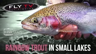FLY TV - Rainbow Trout Fly Fishing in Small Lakes