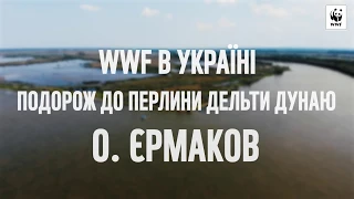 WWF в Україні: Подорож до перлини Дельти Дунаю - о. Єрмаков