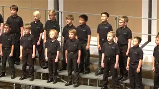 Being A Boy.  Minnesota Boychoir